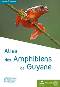 image Atlas des Amphibiens de Guyane