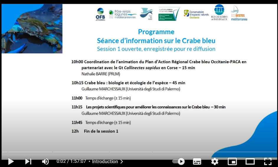 image Replay du webinaire d’information sur le Crabe bleu