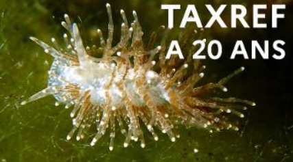 image TAXREF, référentiel taxonomique national des organismes de France métropolitaine et outre-mer