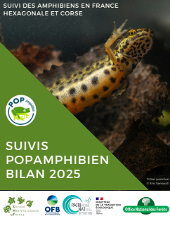 image Bilan POPAmphibien 2025