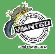 image Un dragon dans mon jardin