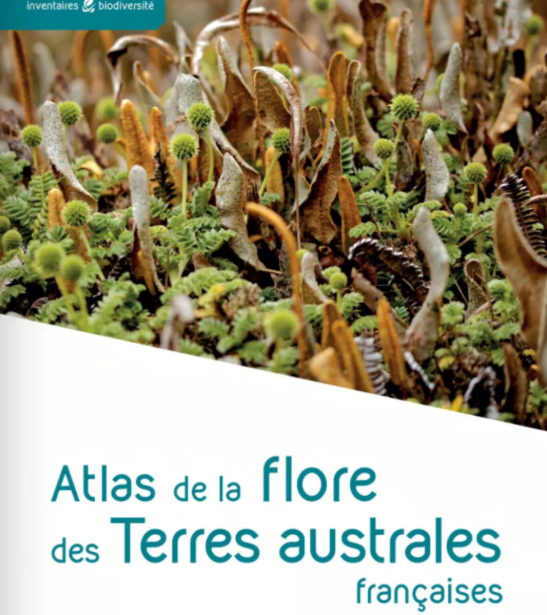 image Parution du premier atlas de la flore des TAAF : un patrimoine végétal rare et exceptionnel enfin révélé