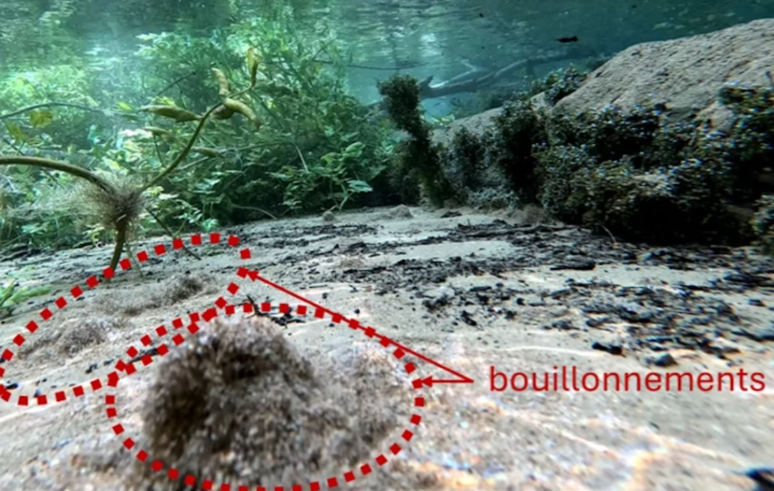 image Refuges thermiques en rivière : quand les eaux souterraines sauvent les poissons de la surchauffe