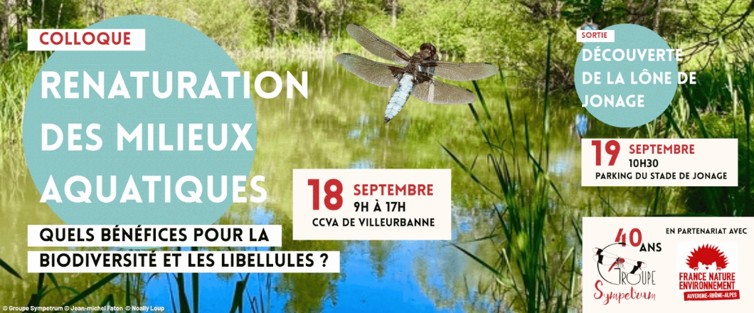 image Renaturation des milieux aquatiques : quels bénéfices pour la biodiversité et les libellules ? – 40 ans de Sympetrum (Villeurbanne, 18/09/2026)