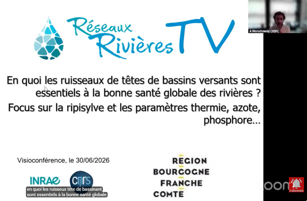 image Res0#34 En quoi les ruisseaux sont essentiels à la bonne santé globale des rivières ?