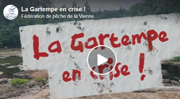 image « La Gartempe est en train de mourir » : les pêcheurs alertent sur l’état catastrophique de cette rivière sauvage