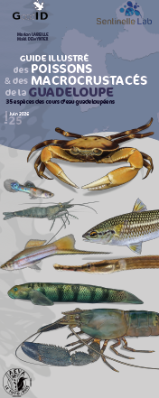 image Guide illustré des poissons & macrocrustacés de Guadeloupe