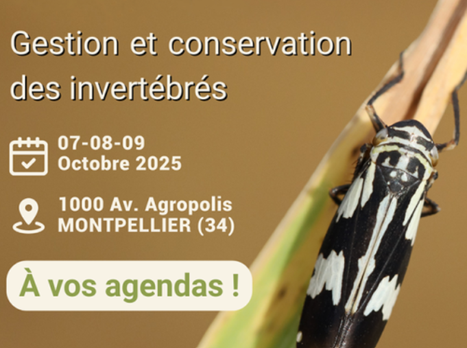 image PatriNat est partenaire du prochain colloque sur les invertébrés organisé par l’OPIE (7-9 octobre 2025, Montpellier)