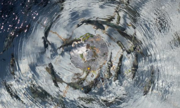 image La paléoécologie pour comprendre l’évolution d’espèces aquatiques face à des événements climatiques extrêmes passés