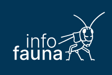 image Rapports d'experts issus du projet national de recherche sur les castors 2021-2023