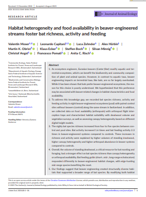image L'hétérogénéité de l'habitat et la disponibilité alimentaire dans les cours d'eau aménagés par les castors favorisent la richesse, l'activité et l'alimentation des chauves-souris. (Article scientifique en langue anglaise)