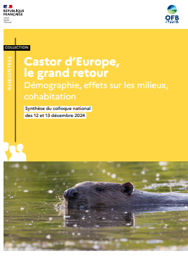 image Castor d'Europe, le grand retour. Démographie, effets sur les milieux, cohabitation. Synthèse du colloque national des 12 et 13 décembre 2024