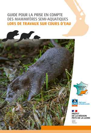 image Guide pour la prise en compte des mammifères semi-aquatiques lors de travaux sur cours d'eau