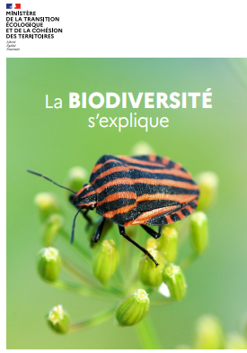 image Journée internationale de la diversité biologique