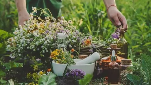 image Déconnexion à la nature, inégalités, court-termisme : le Giec de la biodiversité appelle à un changement 