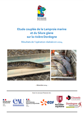 image Etude couplée de la lamproie marine et du silure glane sur la rivière Dordogne