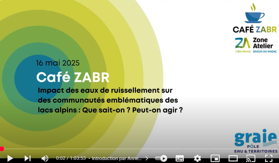 image Café ZABR | Impact des eaux de ruissellement sur des communautés emblématiques des lacs alpins