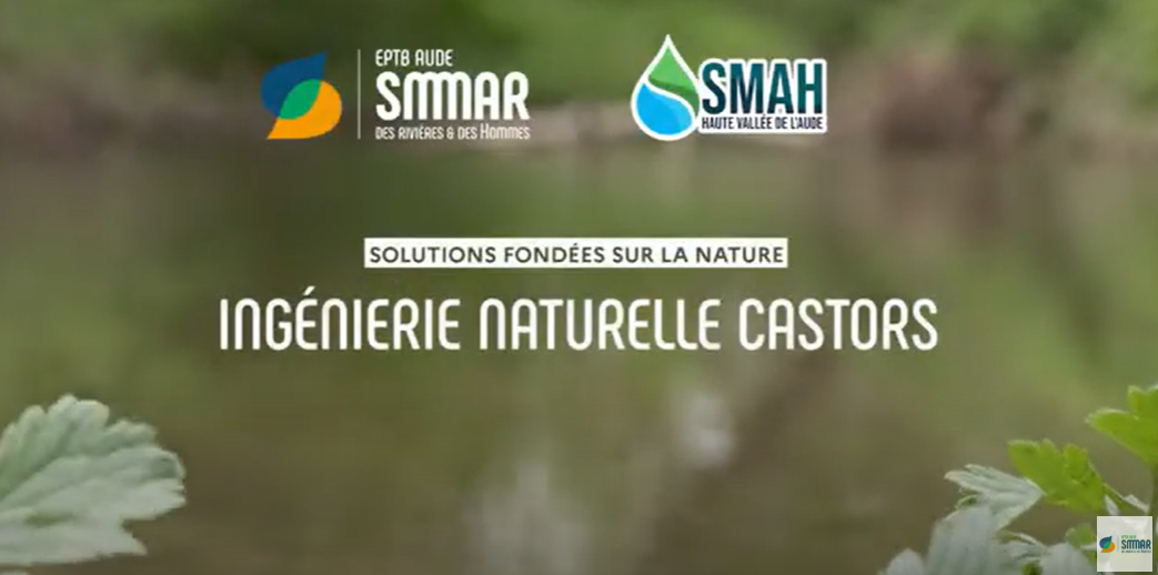 image Ingénierie Naturelle Castors
