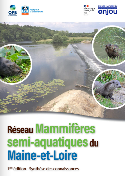 image Réseau Mammifères semi-aquatiques du Maine-et-Loire-Synthèse des connaissances