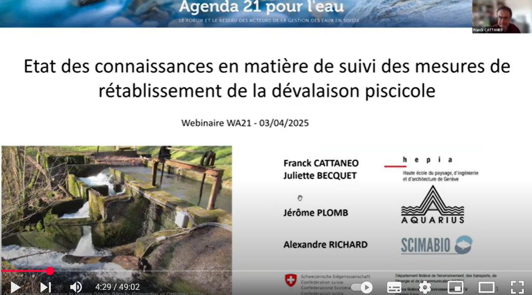 image Suivi des mesures de rétablissement de la dévalaison piscicole