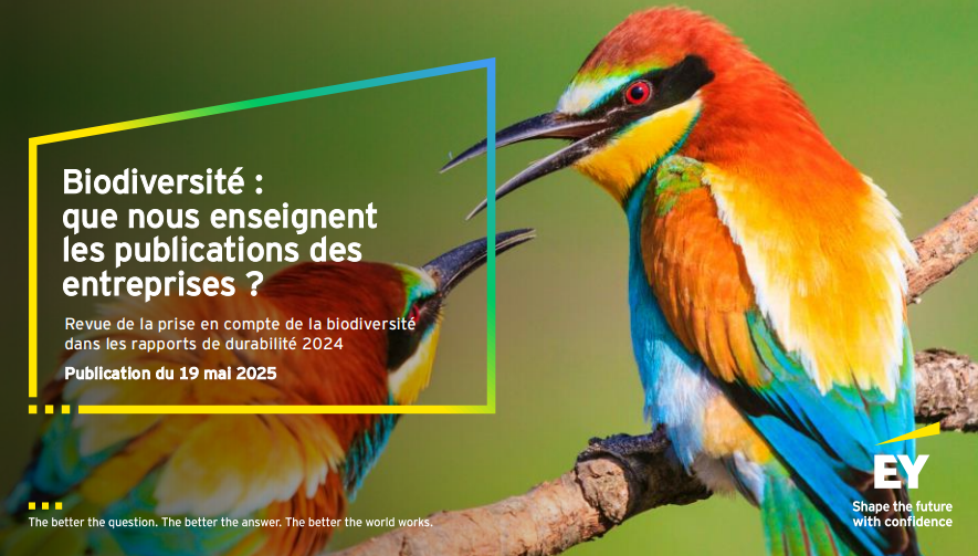 image Biodiversité : que nous enseignent les publications des entreprises ?