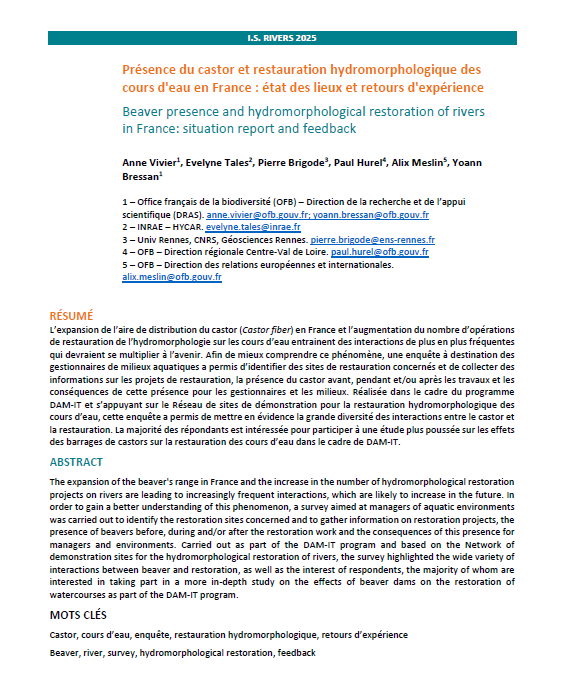 image Présence du castor et restauration hydromorphologique des cours d'eau en France : état des lieux et retours d'expérience / Beaver presence and hydromorphological restoration of rivers in France: situation report and feedback