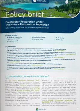 image Note d'orientation : « La restauration des milieux d'eau douce dans le cadre du règlement sur la restauration de la nature » (article en langue anglaise)