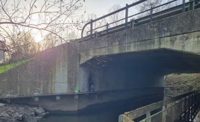 image Des passerelles sous les ponts pour sauver les loutres près de Nantes : comment cela fonctionne ?