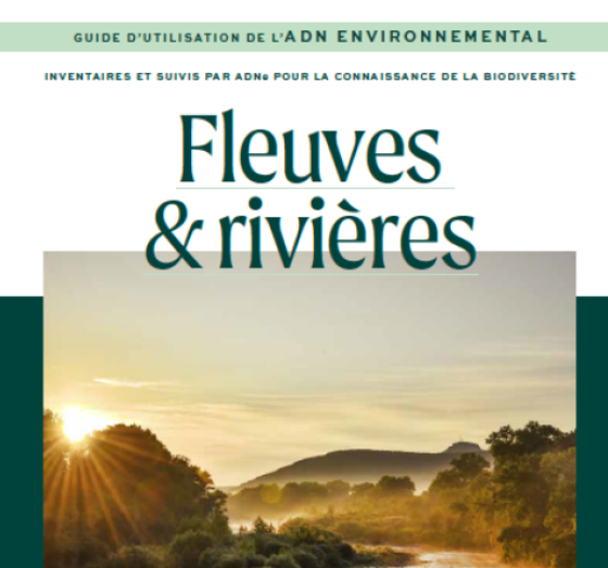image Un guide pratique ADNe pour le suivi des fleuves et des rivières 