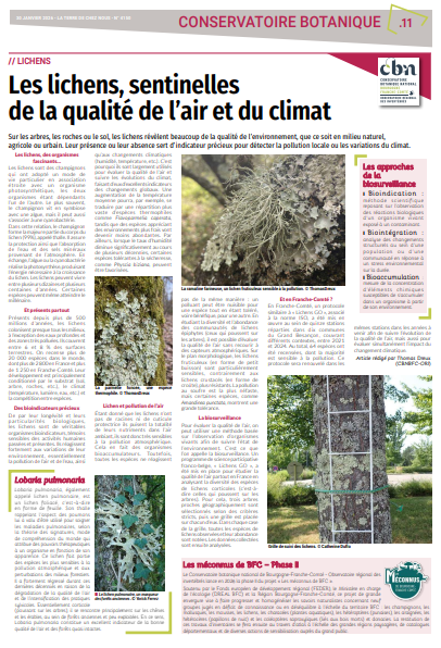 image Les lichens, sentinelles de la qualité de l'air et du climat