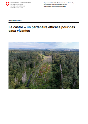 image Le castor – un partenaire efficace pour des eaux vivantes
