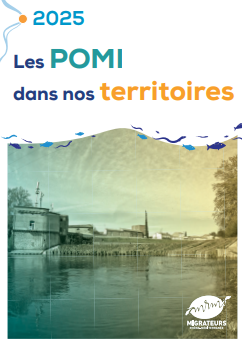 image La plaquette Milieux 2024 de l'association MRM est en ligne !