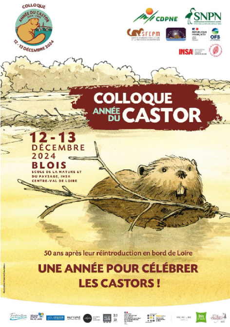 image Un colloque dédié au castor le jeudi 12 et vendredi 13 décembre à Blois (41)