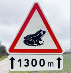 image CPEPESC FC : Panneaux de signalisation pour amphibiens en Haute-Saône