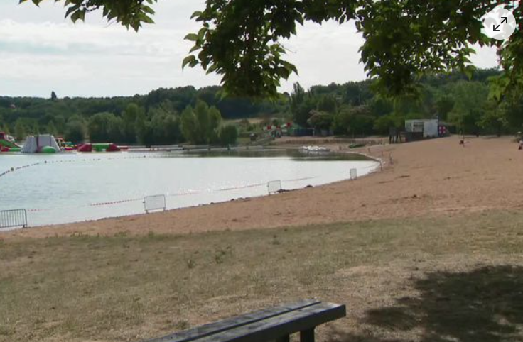 image Baignade interdite dans les lacs, faune et flore contaminées… Les cyanobactéries envahissent les plans d'eau