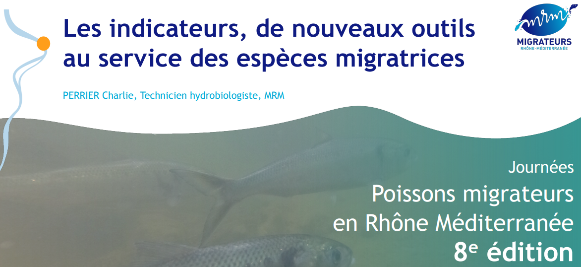 image  8ème édition des journées Poissons migrateurs en Rhône- Méditerranée
