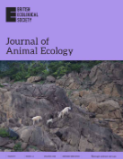 image Habitat heterogeneity and food availability in beaver‐engineered streams foster bat richness, activity and feeding