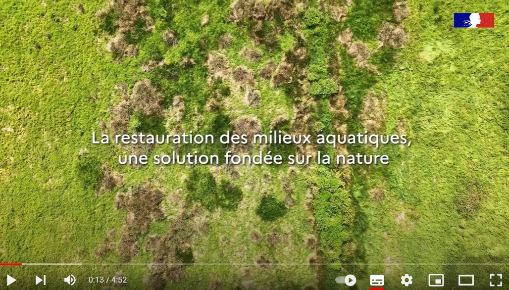 image La restauration des milieux aquatiques, une solution fondée sur la nature