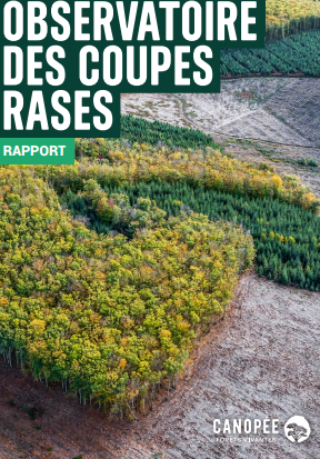 image Rapport de l'observatoire des coupes rases