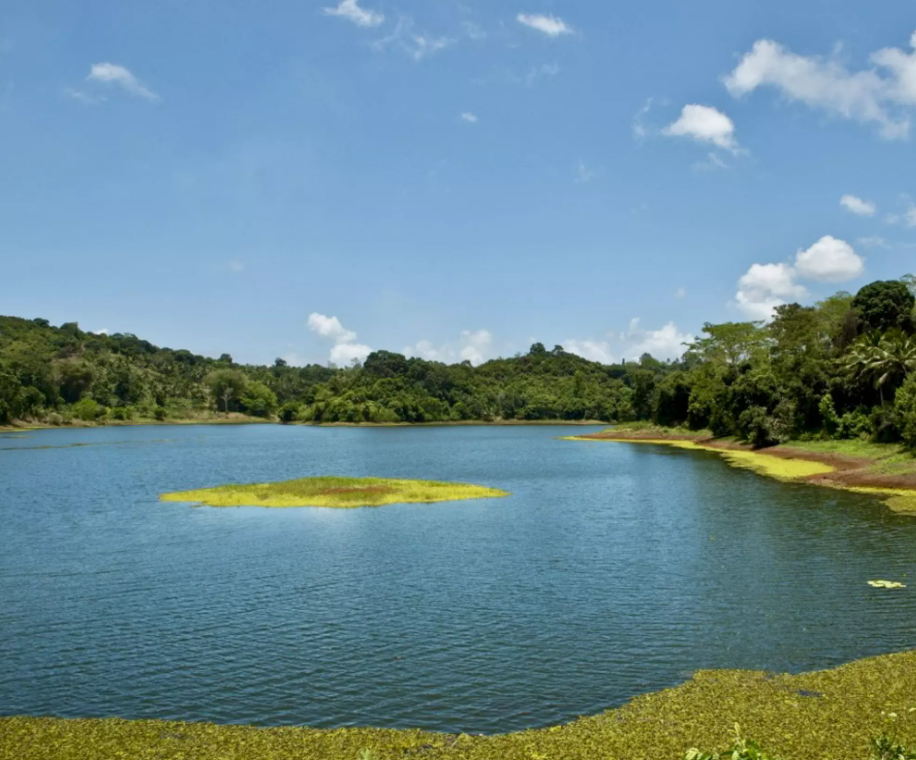 image À Mayotte, le GEPOMAY et la Fondation Albioma s’unissent pour préserver la biodiversité du lac Karihani