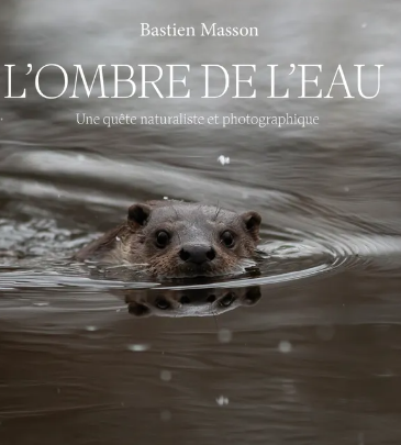 image Sur les traces de la Loutre dans le Cantal avec le naturaliste Bastien Masson