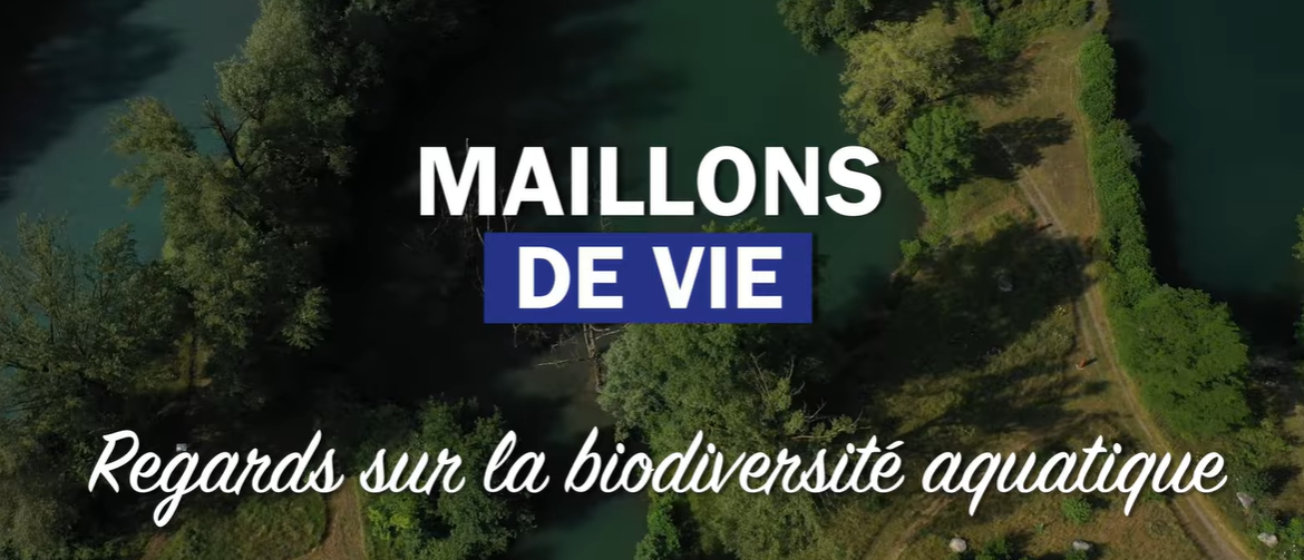 image Une Websérie sur les milieux aquatiques pour sensibiliser sur la chaine alimentaire des rivières