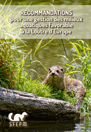 image Recommandations pour une gestion des milieux aquatiques favorable à la Loutre d'Europe