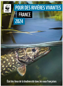 image Un nouveau rapport du WWF France alerte sur le déclin de la biodiversité dans les rivières françaises - WWF France